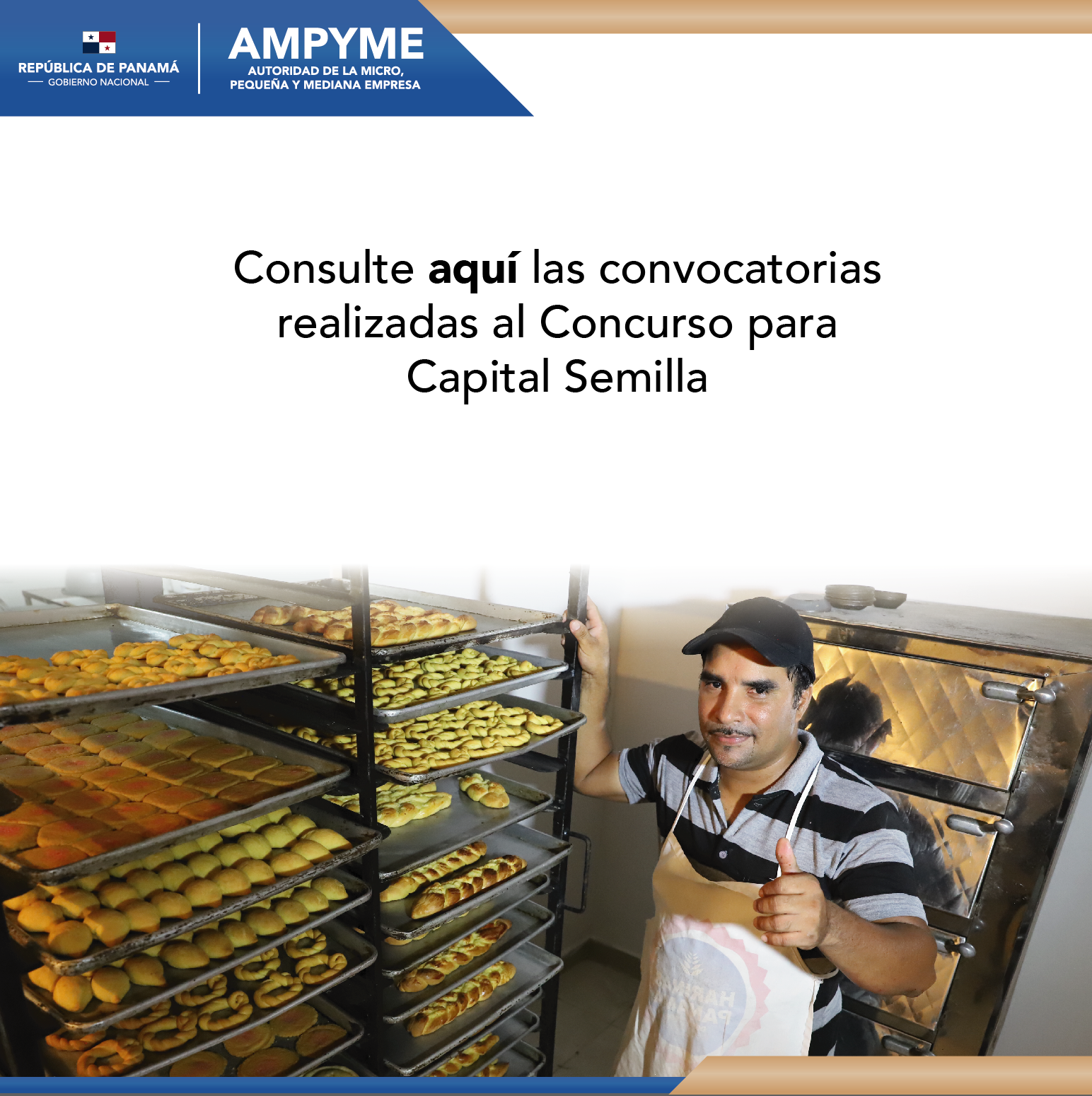 AMPYME – Autoridad de la Micro, Pequeña y Mediana Empresa