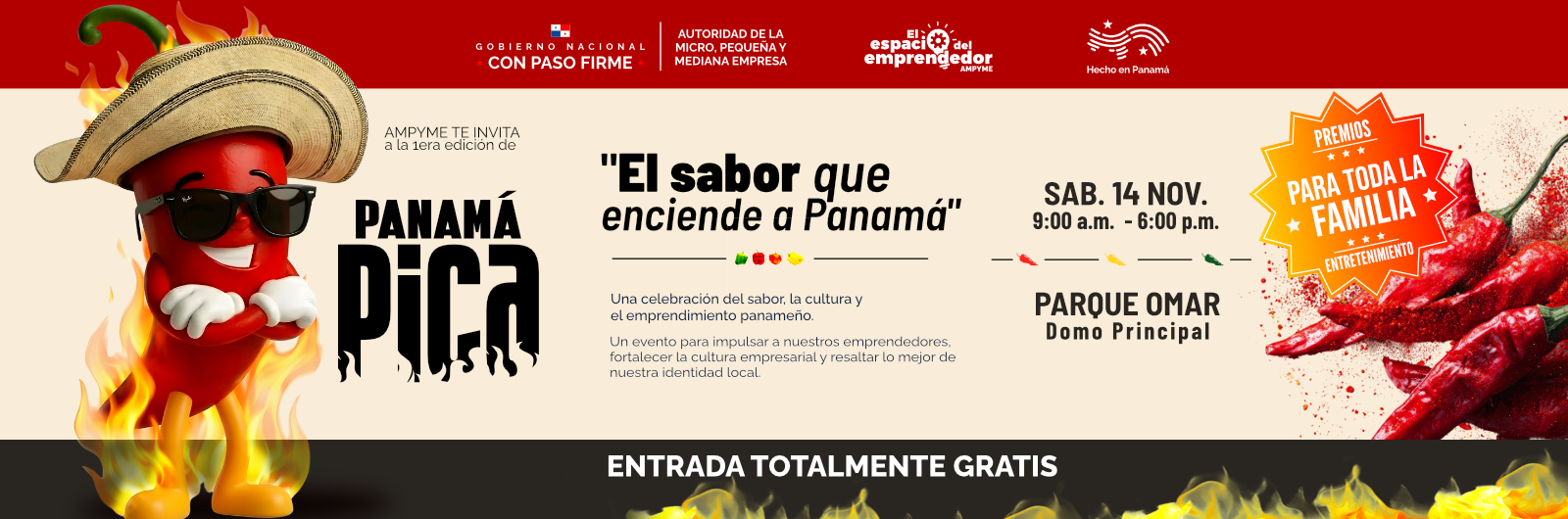 bannerWeb-PmaPica